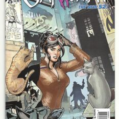 Catwoman Vol 4 #25