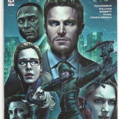 Arrow: Season 2.5 #10