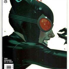 Catwoman Vol 4 #48