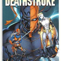 Deathstroke Vol 4 #10 Shane Davis Variant