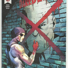 Daredevil Vol 1 #598