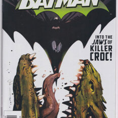 Batman Vol 1 #642