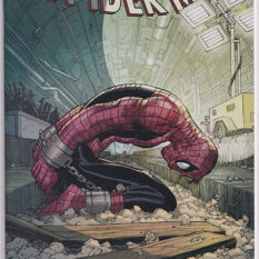 Amazing Spider-Man Vol 6 #3 2nd Print