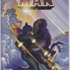 Iron Man Vol 6 #20