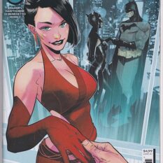 Batman Vol 3 #132