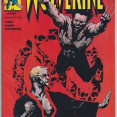 Wolverine Vol 2 #161