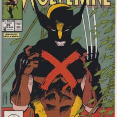Wolverine Vol 2 #29
