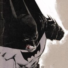 Batman The Brave And The Bold #13 Cvr C Jason Shawn Alexander Var Pre-order