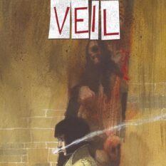 Veil #3 (Of 4) Cvr B Gabriel Hernandez Walta Var  Pre-order