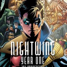 Nightwing Year One 20th Anniversary Deluxe Edition HC Book Market Scott Mcdaniel Edition Pre-order