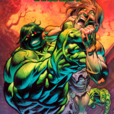 Incredible Hulk #13 Pre-order