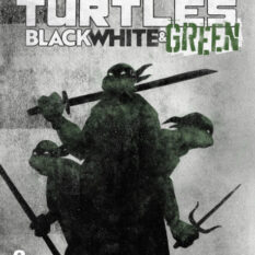 Teenage Mutant Ninja Turtles: Black, White, And Green #2 Variant B (Love) Pre-order