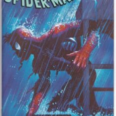 Amazing Spider-Man Vol 6 #45