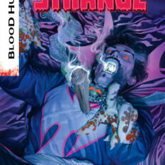 Doctor Strange #17 [BH] Pre-order