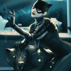Catwoman #81 Cover D Robin Higginbottom Card Stock Variant Pre-order