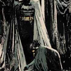 Batman And Robin #27 Cover D Ashley Wood Card Stock Variant Pre-order