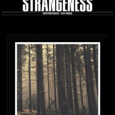 High Strangeness #2 (Of 5) Cover C Becca Carey Variant Pre-order