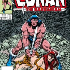 Conan The Barbarian The Original Comics Omnibus HC Vol 07 Direct Market Edition John Buscema Cover Pre-order
