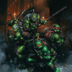 Teenage Mutant Ninja Turtles #13 Variant D (Crain) Pre-order