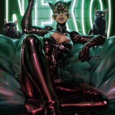 Catwoman #82 Cover C Derrick Chew Card Stock Variant Pre-order