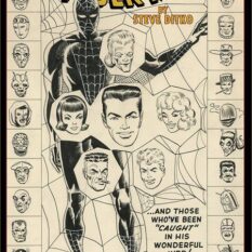 Amazing Spider Man By Steve Ditko Artists Edition HC Direct Market Exclusive Web Cover Pre-order