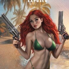Heat Seeker Exposed A Gun Honey Series #4 (Of 4) Cover A Carla Cohen Pre-order
