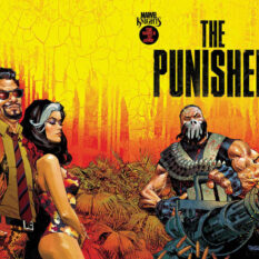 Marvel Knights: Punisher #3 Pre-order
