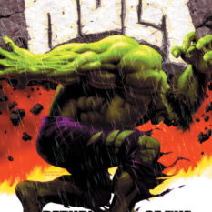 Incredible Hulk: Return Of The Monster Omnibus Kaare Andrews Cover Pre-order