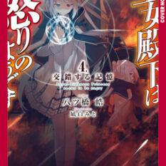 Her Royal Highness Seems To Be Angry, Volume 4 (Light Novel) Pre-order